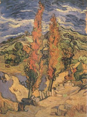Vincent Van Gogh Two Poplars on a Road through the Hills (nn04) Germany oil painting art